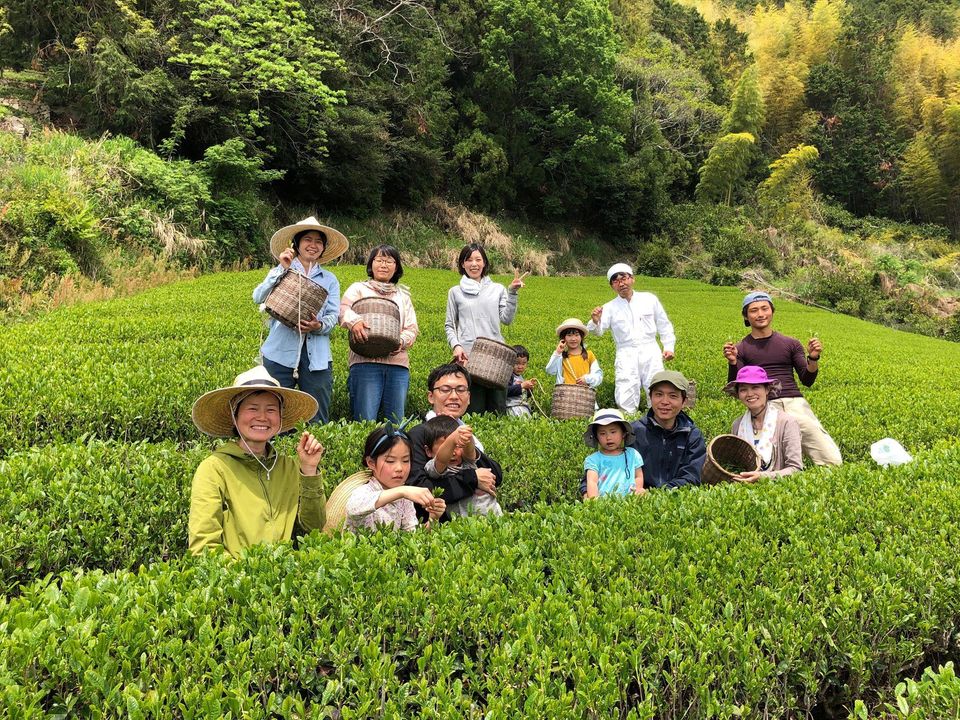 Ayumi Farms, Cyittorattu - tokinari.live