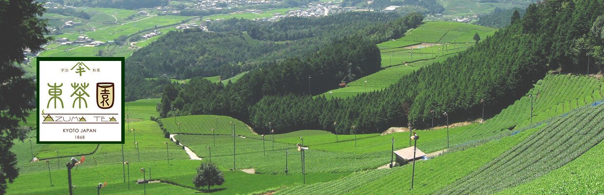 Azuma Tea Garden - tokinari.live
