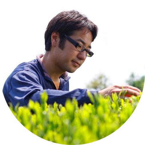 #0324.S2:【新茶】特上煎茶「桜」|平岡園