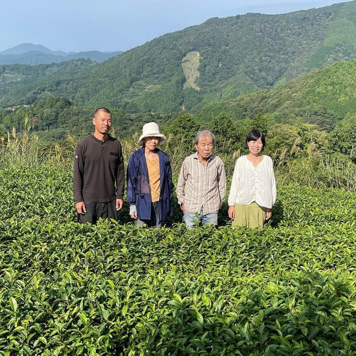 #0052.S5 NaturaliTea: 瀬戸屋もみじ紅茶 3グラムティーバッグ
