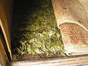 Goishicha from the Otoyo Town Goishicha Producer's Association 大豊町碁石茶協同組合 『本場の本物』碁石茶 - tokinari.live