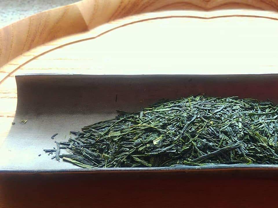 Kuma Tea Garden: 2022 Yamecha Mountain-Grown Sencha Yabukita 奥八女 上陽茶 やぶきた - tokinari.live