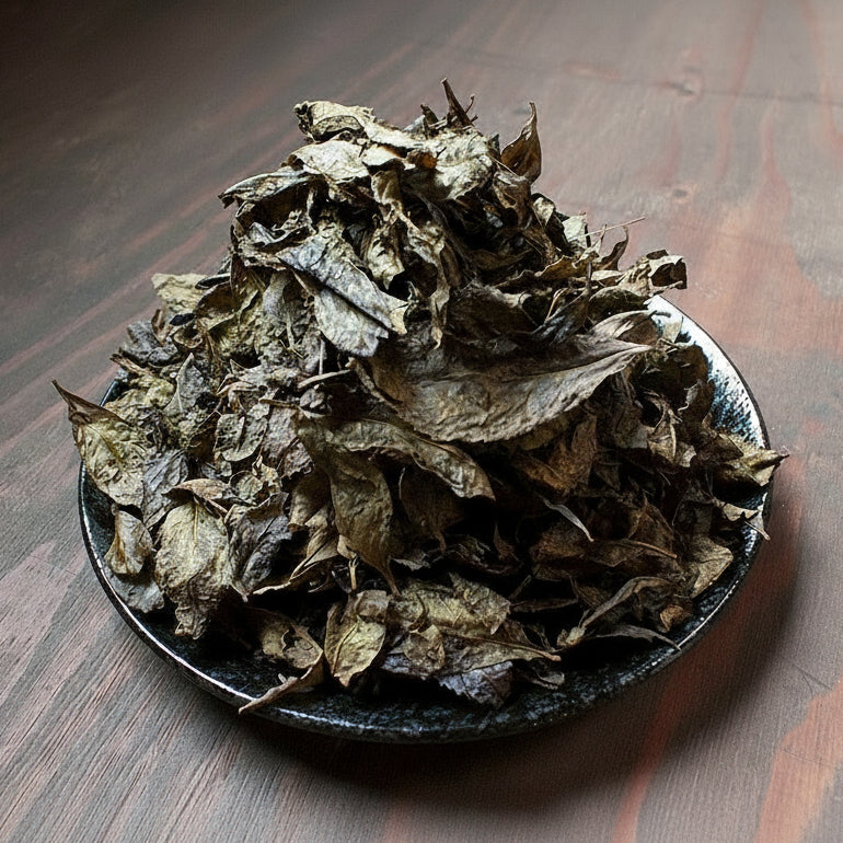 Michiko's Handpicked, Sun-Dried Awa Bancha from Kamikatsu Village, Tokushima - tokinari.live