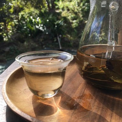 Mitocha NR006: Makibi Kancha Firewood Winter Green Tea (Aged) 薪火寒茶 - tokinari.live