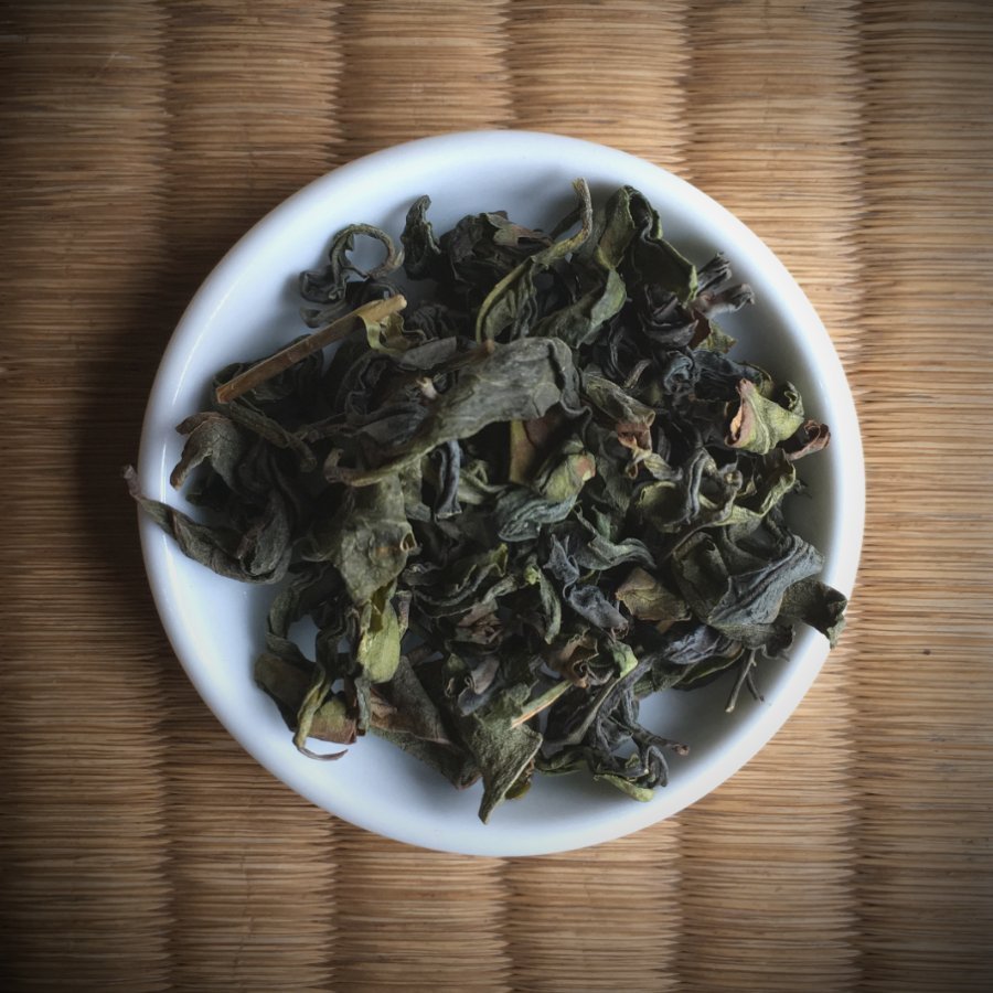 Miyazaki Sabou MY15: Oolong Tea - Saemidori Single Cultivar - tokinari.live