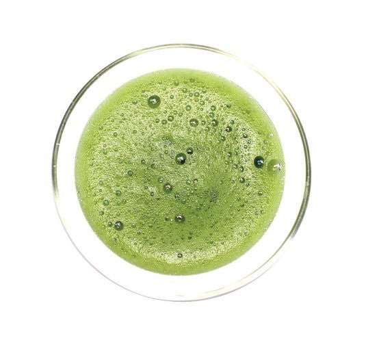 Obubu Tea #19: Excellent Culinary Grade Matcha - tokinari.live
