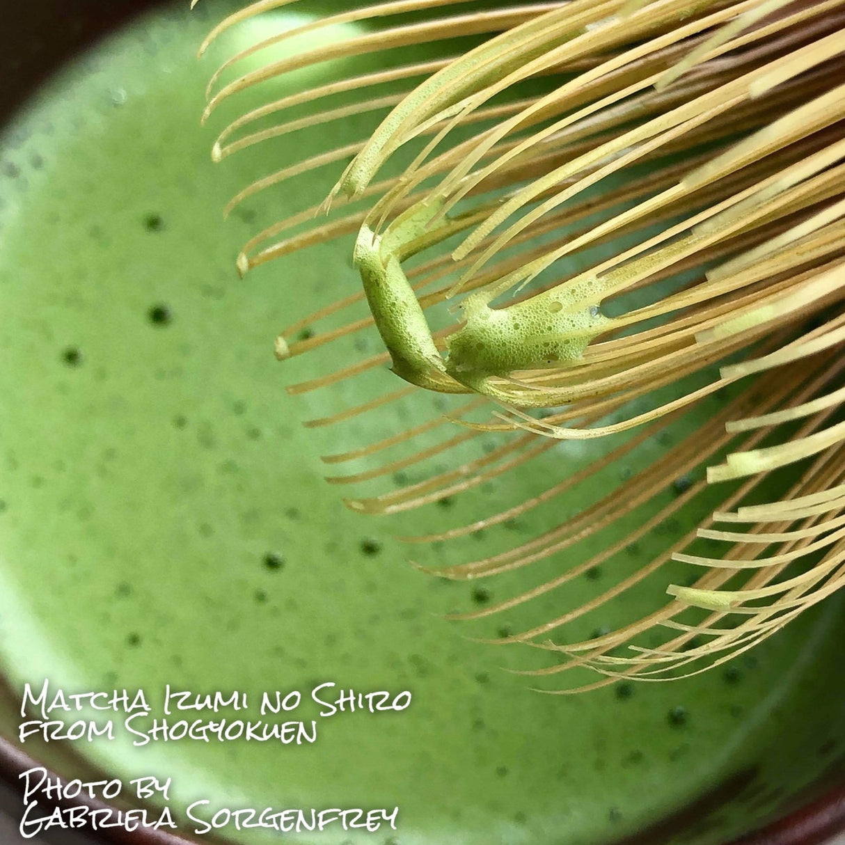 Shogyokuen: Matcha Izumi no Shiro, Standard Ceremonial Grade (Spring Harvest) 泉の白 - tokinari.live
