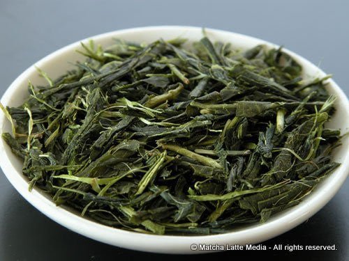 Takeo Tea Farm: 2022 Organic Bancha Green Tea, Satsuki no Aoyanagi, May harvest 五月の青柳 - tokinari.live