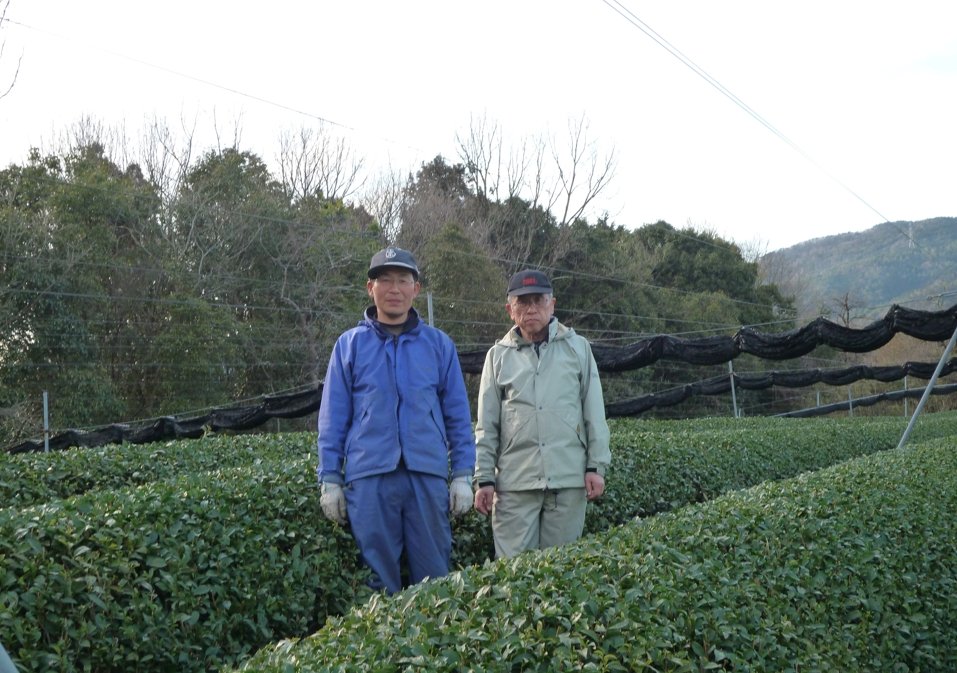 Tea Farmer Shinichi Kihara: 2022 Naturally Grown Kyoto Kabusecha (Single Cultivar Gokou) 自然栽培かぶせ茶ごこう - tokinari.live