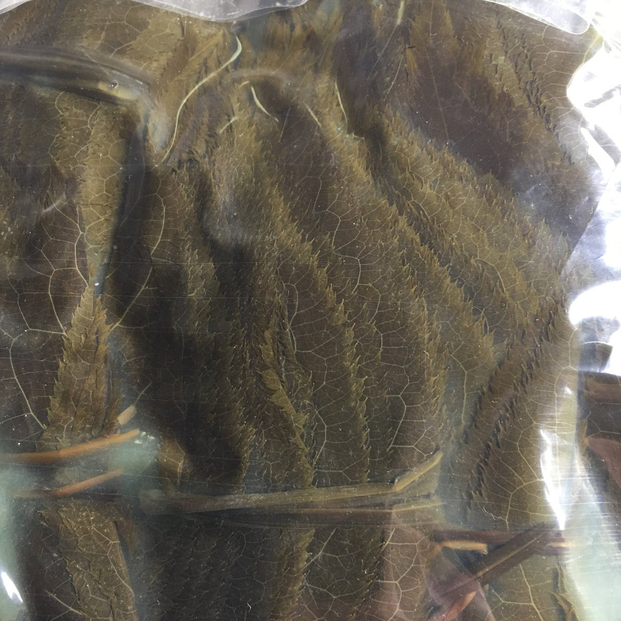 Tomiz: Pickled Sakura Leaves from Izu Peninsula, Shizuoka 桜葉の塩漬(伊豆産) - tokinari.live