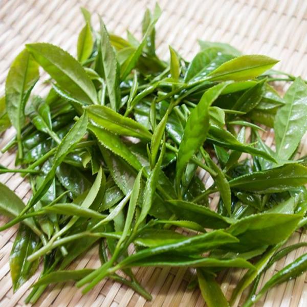 Wakoen Tea Farm: 2022 Kagoshima Fukamushicha - Takumi 和香園 深蒸し茶 匠 - tokinari.live