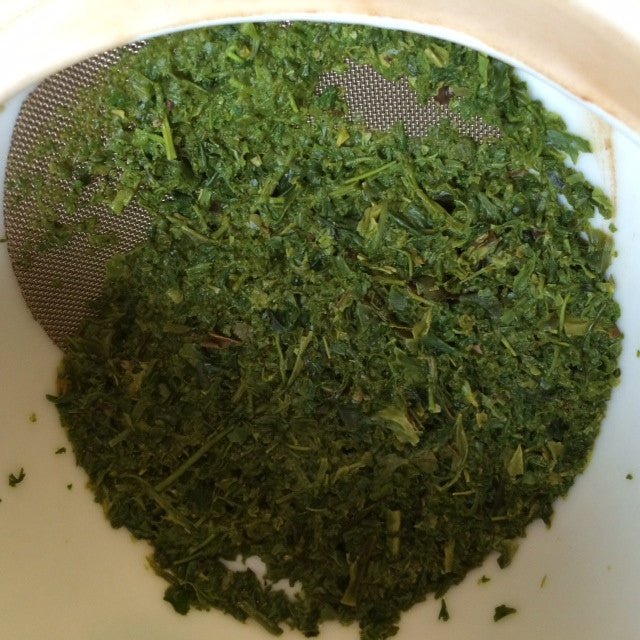 Yamane-en: 2022 Yuikamatsuka Village Fukamushi Sencha 煎茶 湯日鎌塚 - tokinari.live