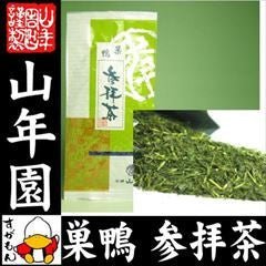 Yamane-en: Kakegawa Fukamushi Premium, Tea Blessing 特選 参拝茶 - tokinari.live