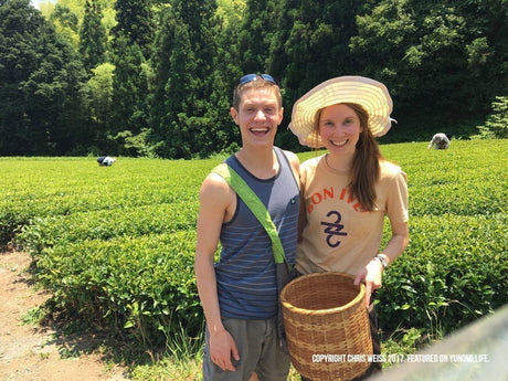 A Visit to the NaturaliTea Tea Farm and Making Black Tea in Shizuoka - tokinari.live