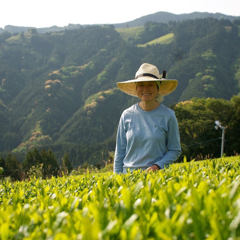 Community Supporting and Supported Farming: Cyittorattu Part 2 - tokinari.live