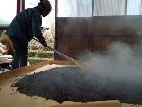 Discover Japanese Tea: Sannen Bancha - tokinari.live