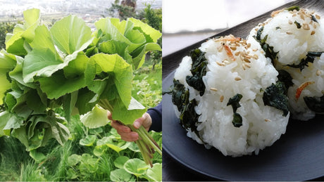 How to Forage and Cook Sansai (山菜) in Spring in Japan - tokinari.live