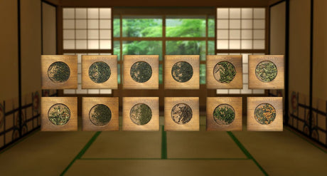 Introduction to Japanese tea, a short guide - tokinari.live