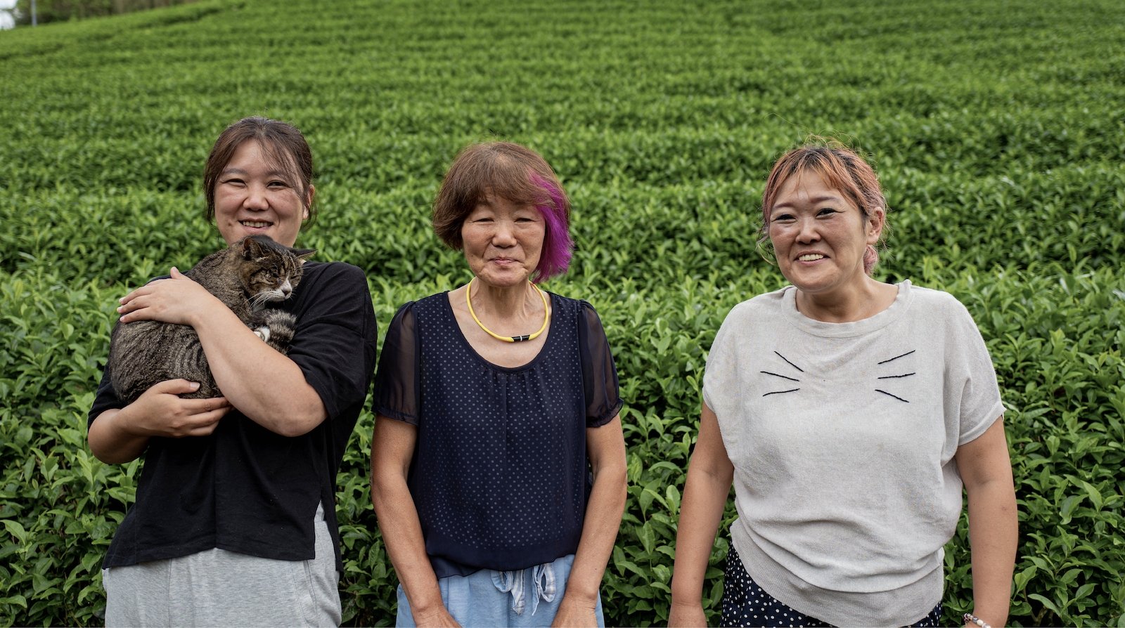 Kiroku Tea Garden: Women Owned Tea Farm - tokinari.live