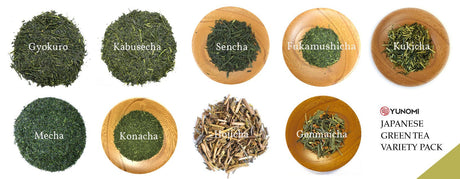 List of Japanese Teas & Terminology - tokinari.live