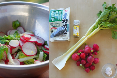 Recipe for Asazuke (浅漬け, Light-Pickled) of Small Red Radishes and Celery - tokinari.live