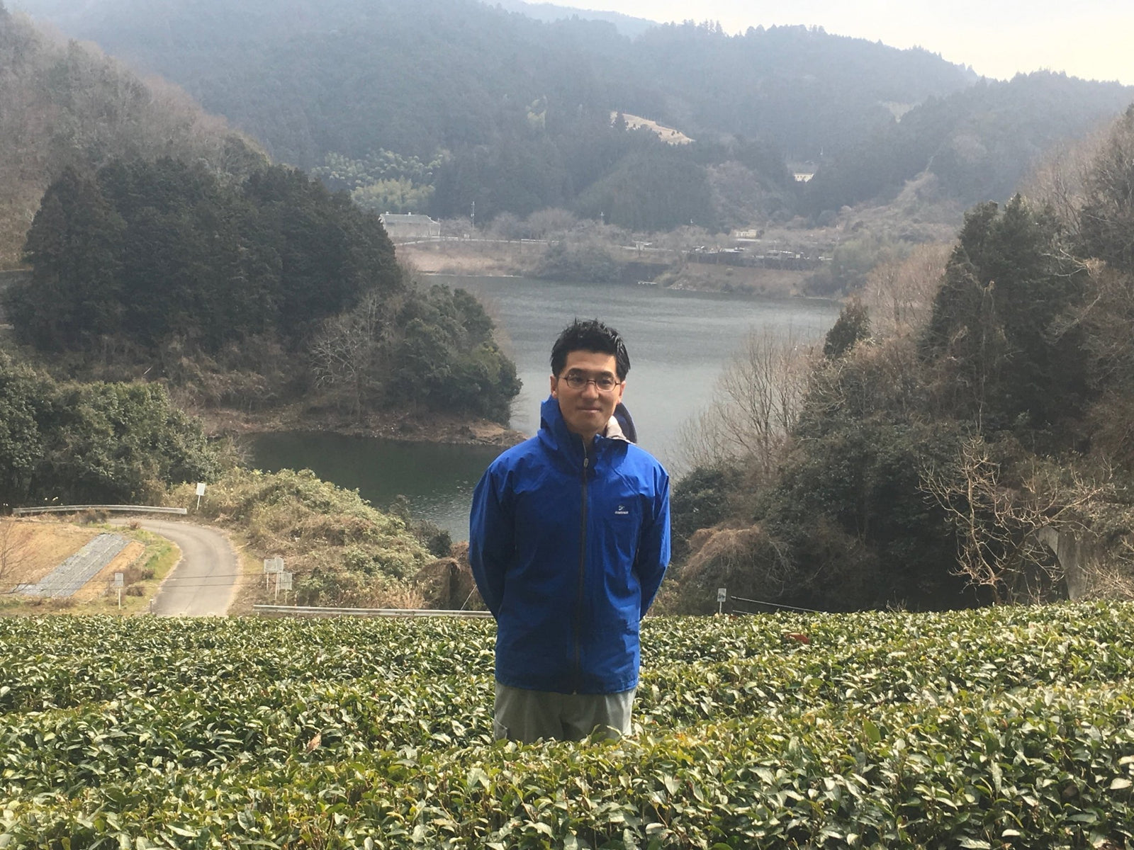 Tea Farm Mitocha: Preserving A Historical Folk Tea - tokinari.live