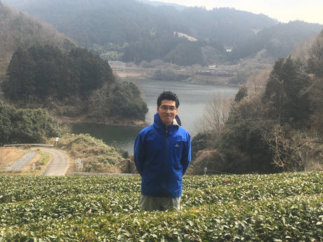Tea Farm Mitocha: Preserving A Historical Folk Tea - tokinari.live