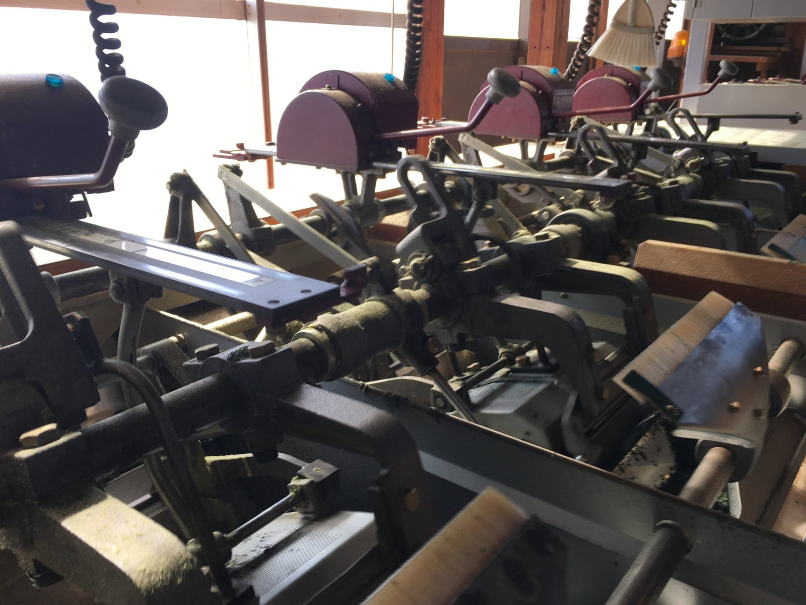 Tea History Shines into the Future - tokinari.live