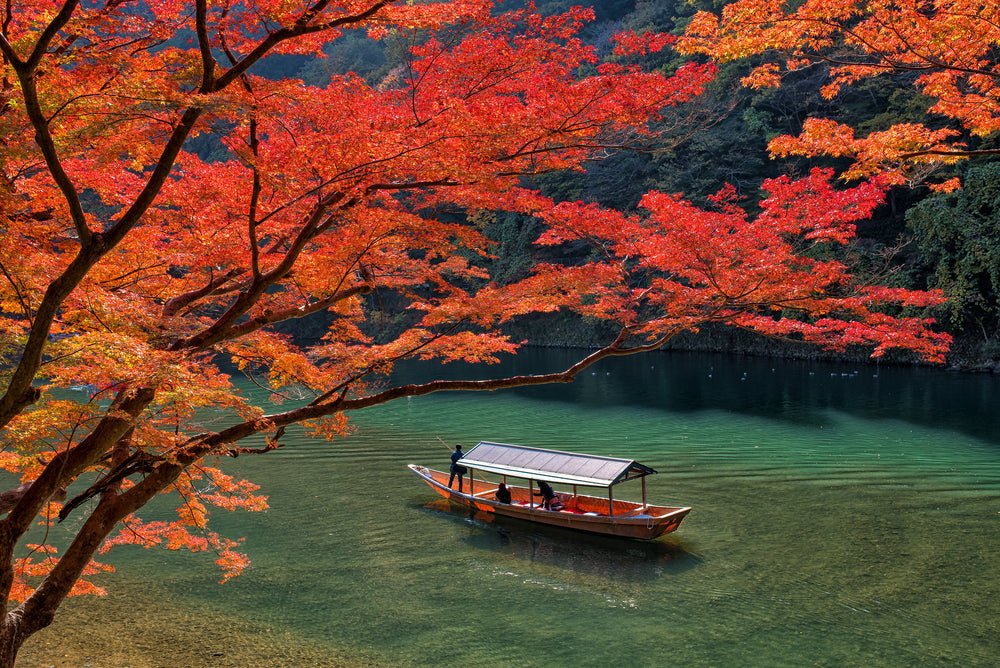 The Colors of a Season: Experience Autumn Foliage from Hokkaido to Kyushu - tokinari.live
