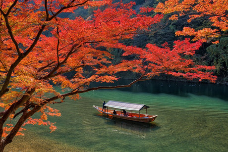The Colors of a Season: Experience Autumn Foliage from Hokkaido to Kyushu - tokinari.live
