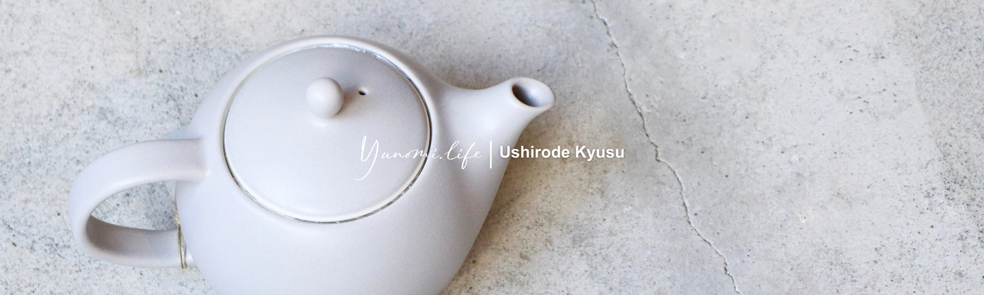Ushirode Kyusu (Back Handle) tokinari.live