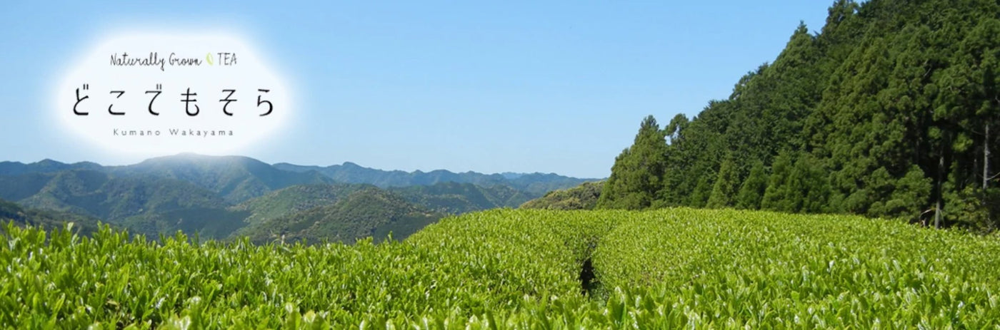 Dokodemosora Tea Farm - tokinari.live