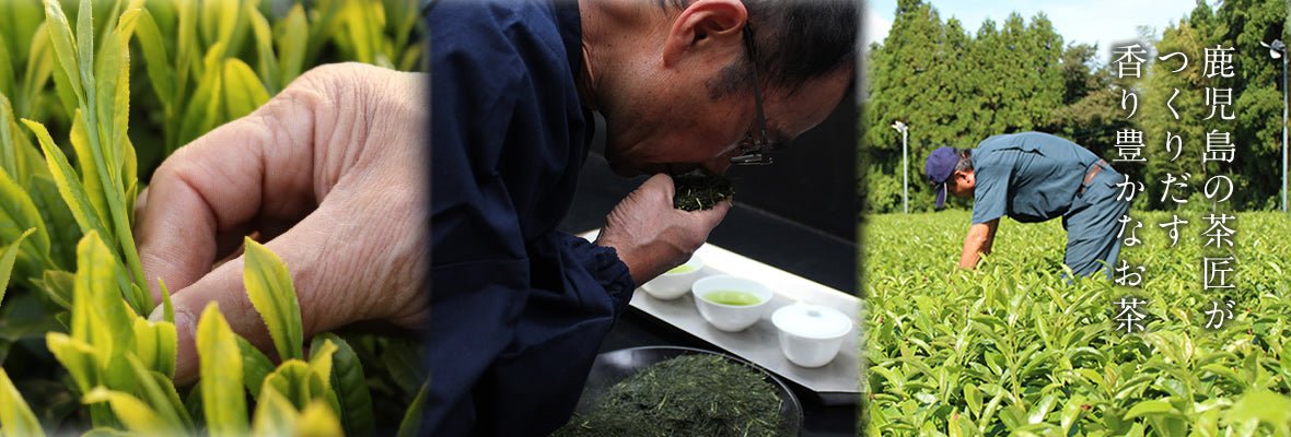 Furuichi Seicha - tokinari.live