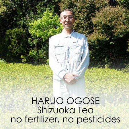 Haruo Ogose - tokinari.live