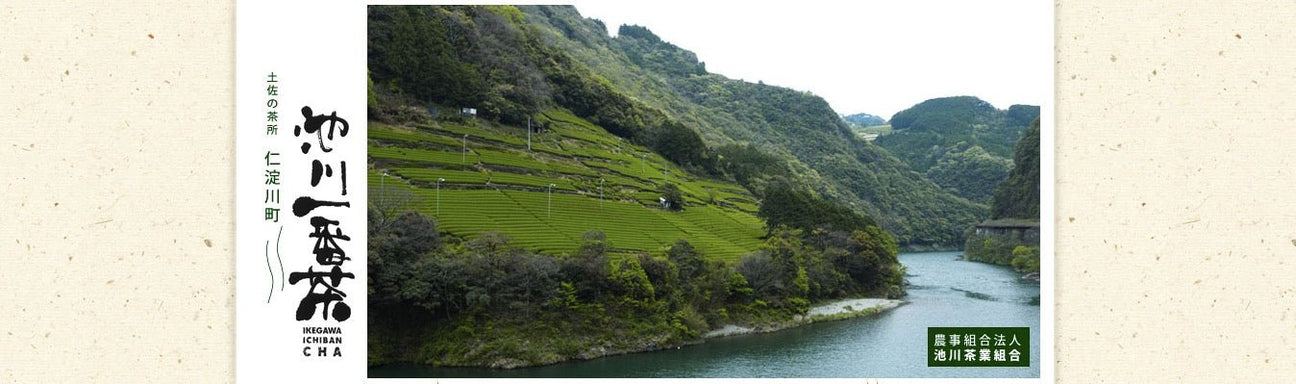 Ikegawa Tea Farm Coop - tokinari.live