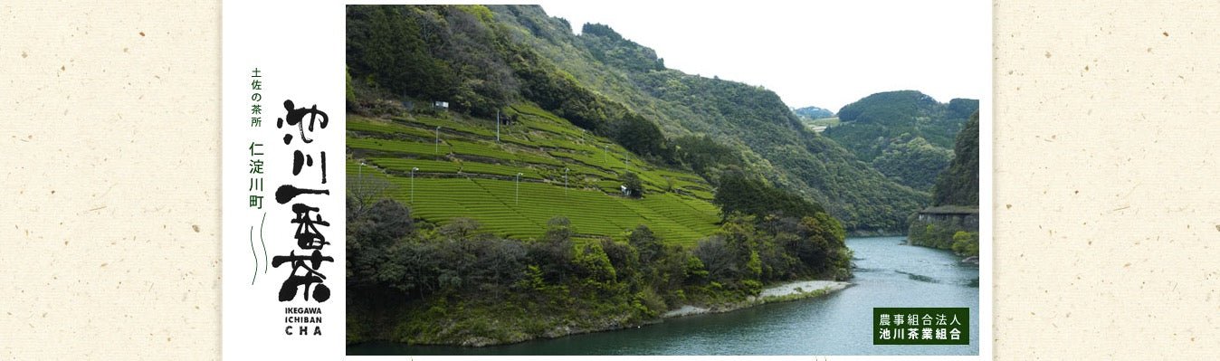 Ikegawa Tea Farm Coop - tokinari.live