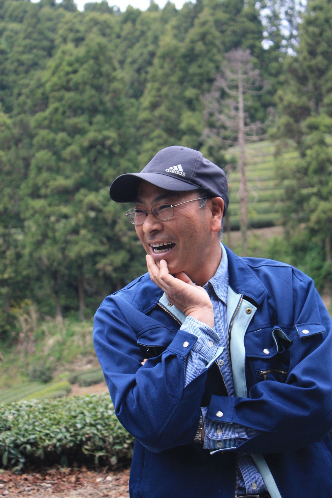 Kashima Tea Garden - tokinari.live