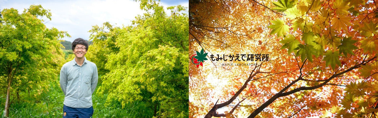 Maple Laboratory - tokinari.live