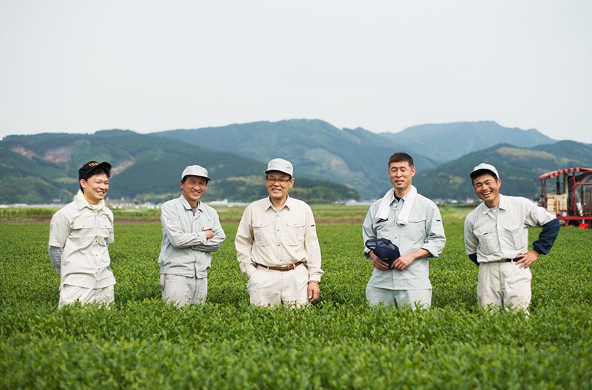 Miyazaki Kamimizu Tea Farm - tokinari.live