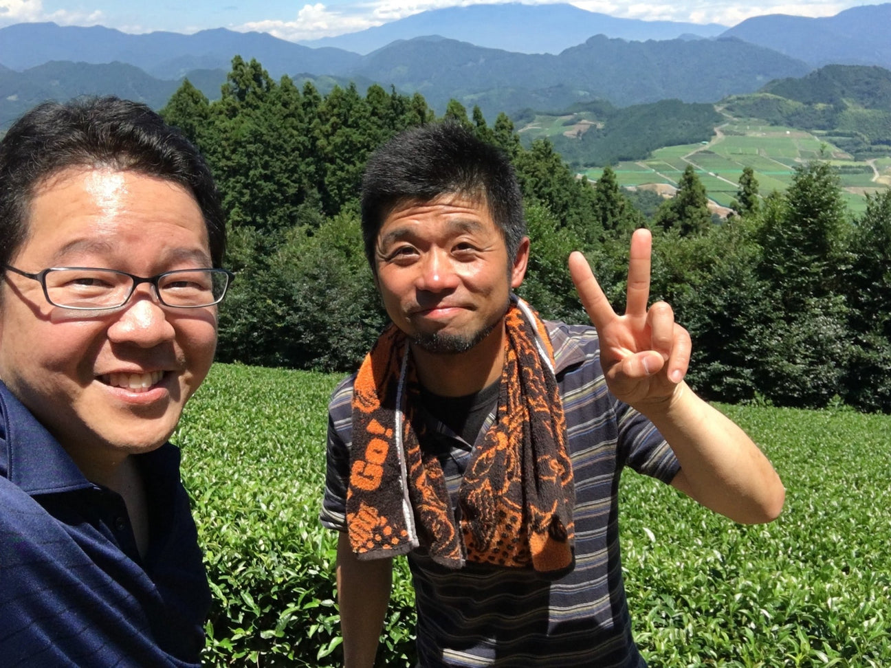 Murakami Tea Garden - tokinari.live