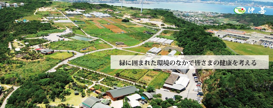 Nakazen - tokinari.live
