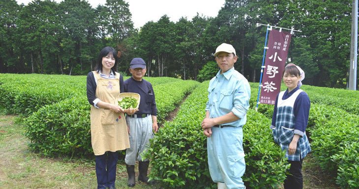 Onocha Tea - tokinari.live