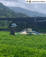 #0895.A1 Tsubame to Chabatake: Farm Direct Hojicha from Nukata Village, Okazaki, Aichi