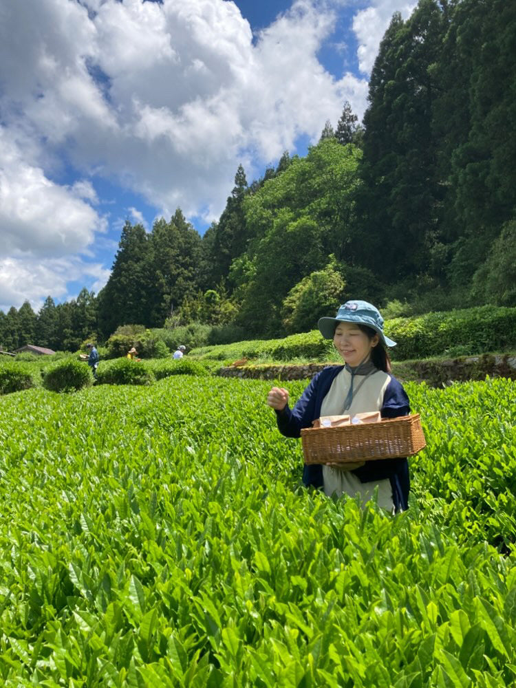 #0895.A1 Tsubame to Chabatake: Farm Direct Hojicha from Nukata Village, Okazaki, Aichi