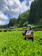 #0895.A1 Tsubame to Chabatake: Farm Direct Hojicha from Nukata Village, Okazaki, Aichi