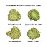 Yunomi.Dojo Lesson - Tea Professional or Connoisseur Level - Personalized Deep Dive Into Japanese Tea