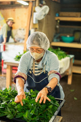 #0944.J1 Hiroko’s Herb Garden: Dried Wahakka Japanese Mint Herbal Tea Grown in Koga Village, Ibaraki, Japan