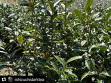 #0601.E1 Ishizuchi Kurocha (Aged 3+ years) - Fermented Dark Tea from Ehime Prefecture - EH002