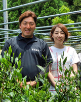 #0068.F2 Kurihara Tea: 2026 Competition Grade Saemidori Heritage Gyokuro Green Tea