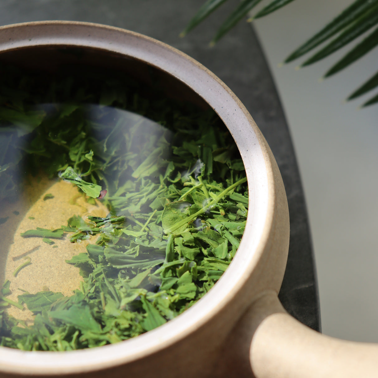 #0424.K2 Koukien Tea Garden: Asamushi Kabusecha - Kawaguchi Sisters' Kirishimacha Refreshing Moment - Superior ホッと一息